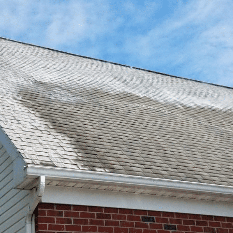 Roof Cleaning in Tampa FL