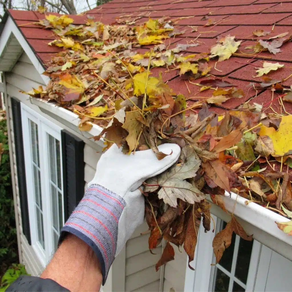 Gutter-Cleaning-In-Tampa-Fl