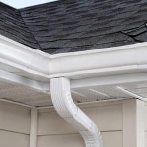 Gutter Cleaning Services in Tampa, FL