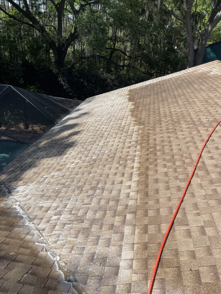 Roof Cleaning Services in Tampa, FL